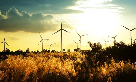 Environmental Justice and Livelihoods